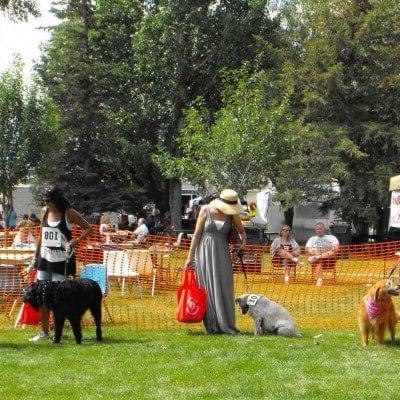 Summer festivals in 绿河, Wyoming.